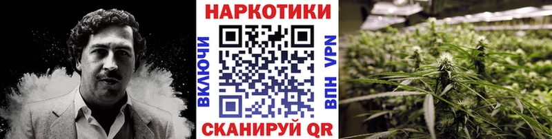 Наркотические вещества Камышлов Гашиш  Галлюциногенные грибы  MDMA  Меф 