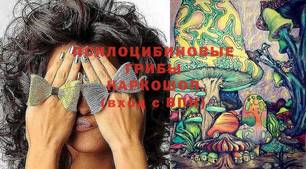 спайс Абдулино