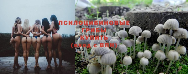 спайс Абдулино