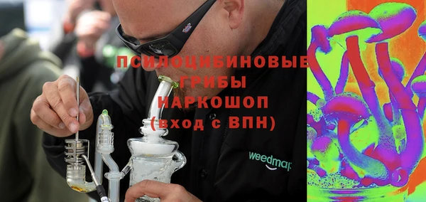 прущий лед Абаза
