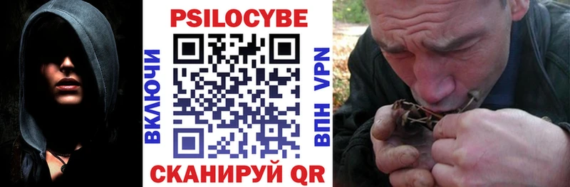блэк спрут ссылка Камышлов Псилоцибиновые грибы MAGIC MUSHROOMS как найти закладки