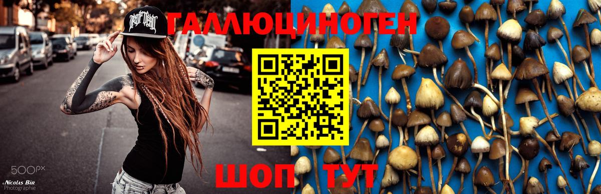 Псилоцибиновые грибы прущие грибы Камышлов