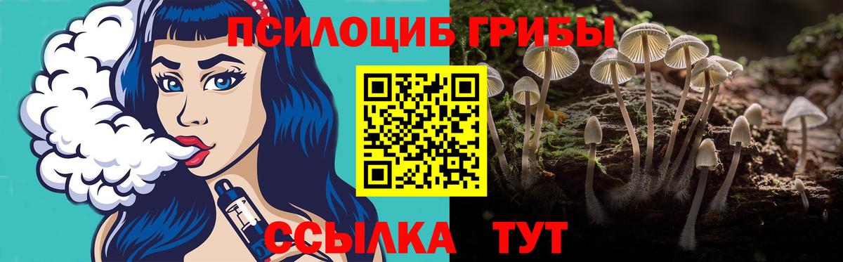 Псилоцибиновые грибы MAGIC MUSHROOMS  наркотики  Галлюциногенные грибы Psilocybe  Камышлов  Вход с VPN 